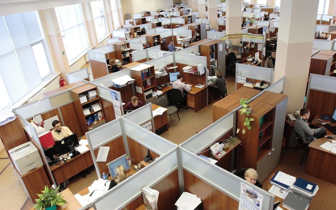 people working in a small business outsourcing company